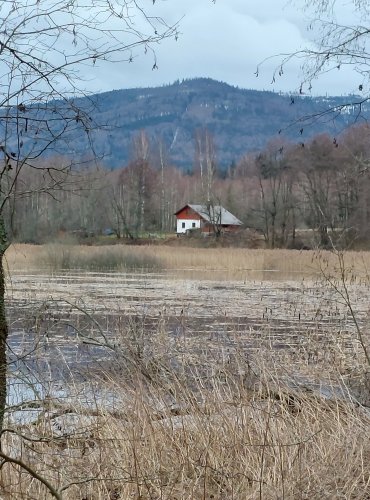 Pohled na stojaté vody Lipenské přehrady za obcí Nová Pec, FOTO: Marta Knauerová, 25.12.2023