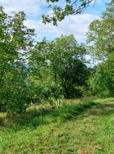 VRCH KALVÁRIE, FOTO: Marta Knauerová, 8/2024