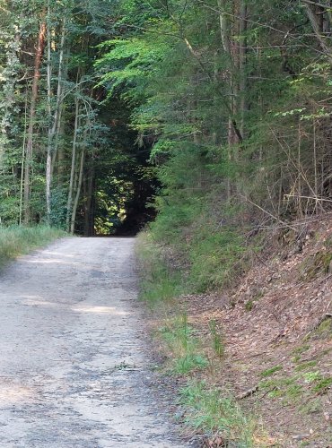 Přístupová cesta na hrad Helfenburk