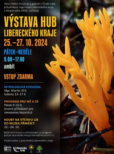 PLAKÁT VÝSTAVY HUB 2024