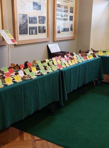 Výstava hub 2025 v expozicích vlastivědného muzea