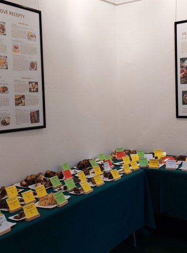 Výstava hub 2025 v expozicích vlastivědného muzea