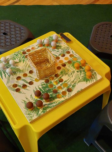 Doprovodné aktivity výstavy