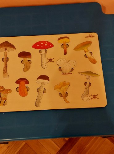 Doprovodné aktivity výstavy