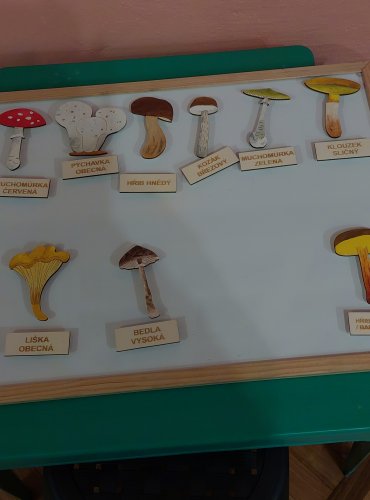 Doprovodné aktivity výstavy