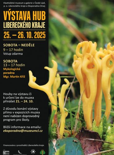 PLAKÁT VÝSTAVY HUB 2025