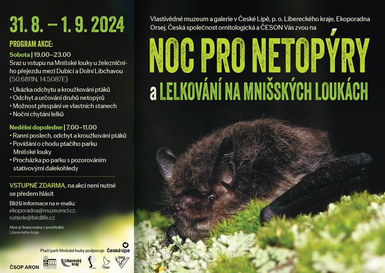 Noc pro netopýry a lelkování na Mnišských loukách