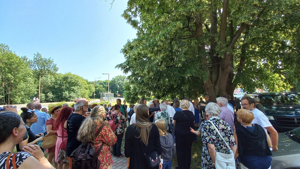 Česko-německý den v České Lípě