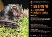 Noc netopýrů a lelkování na Mnišských loukách
