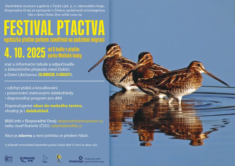 Festival ptactva