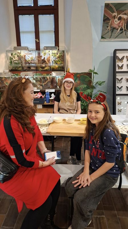 Čekání na Ježíška