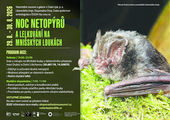 Noc netopýrů a lelkování na Mnišských loukách  