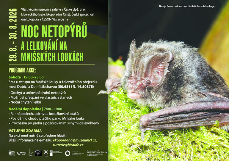Noc netopýrů a lelkování na Mnišských loukách  
